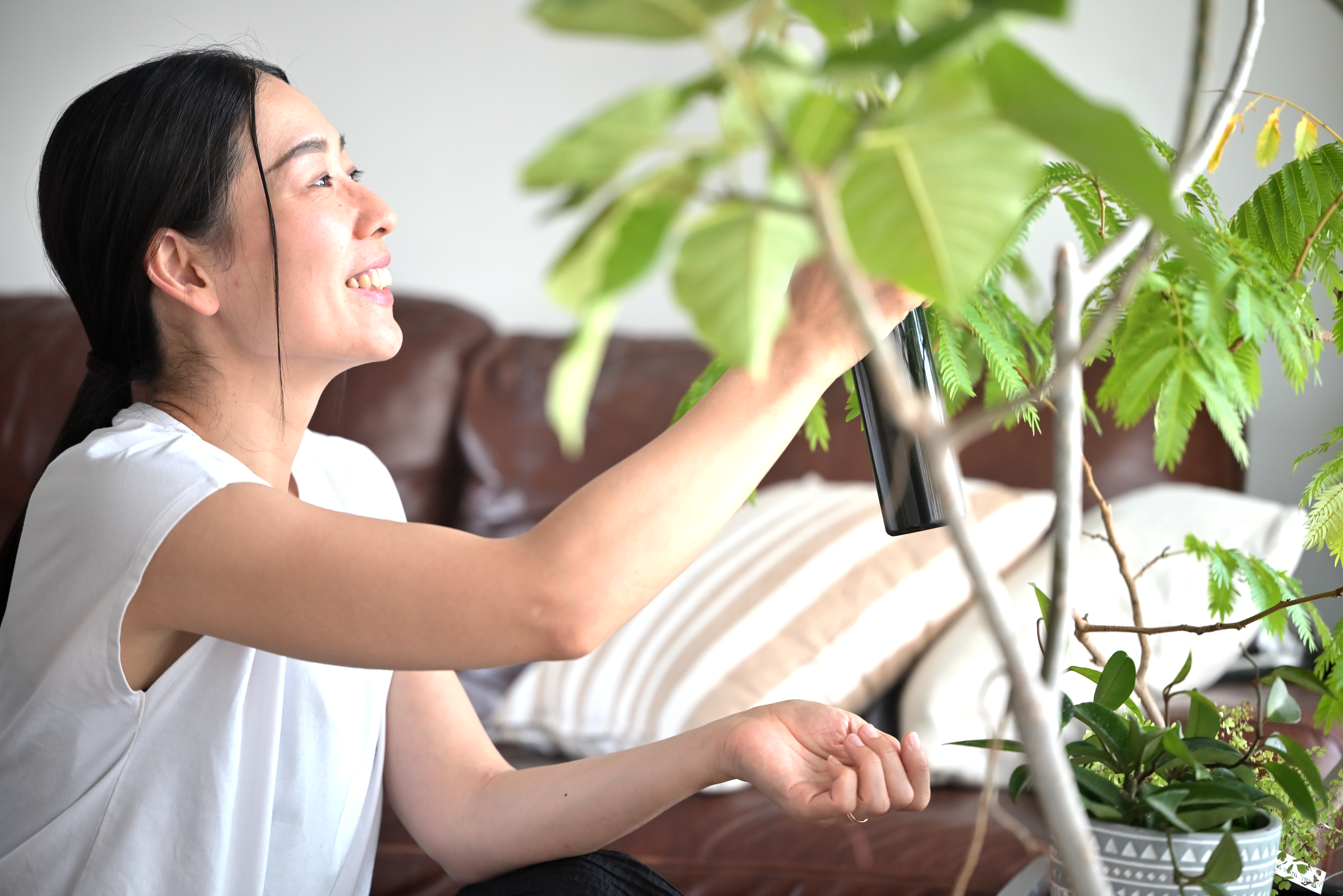 メインビジュアル